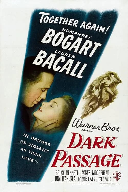 Dark Passage film posteri