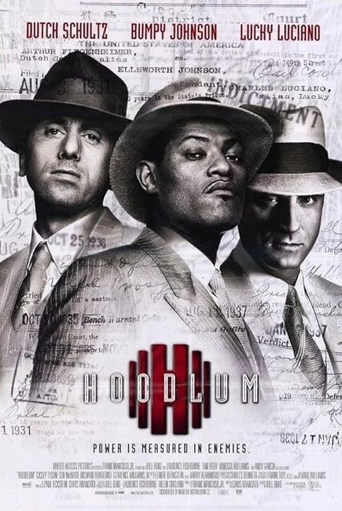 Hoodlum film posteri