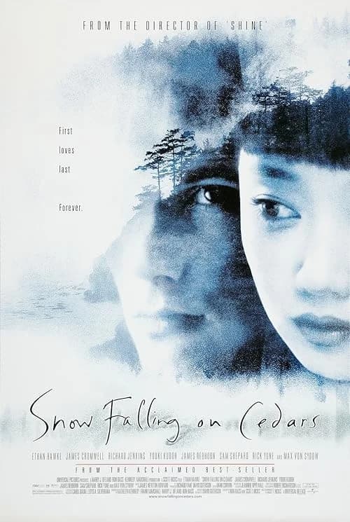 Snow Falling on Cedars film posteri